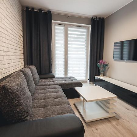 Apartament Apartament Nr 9 - Zrodlana 2 Świeradów-Zdrój Zewnętrze zdjęcie