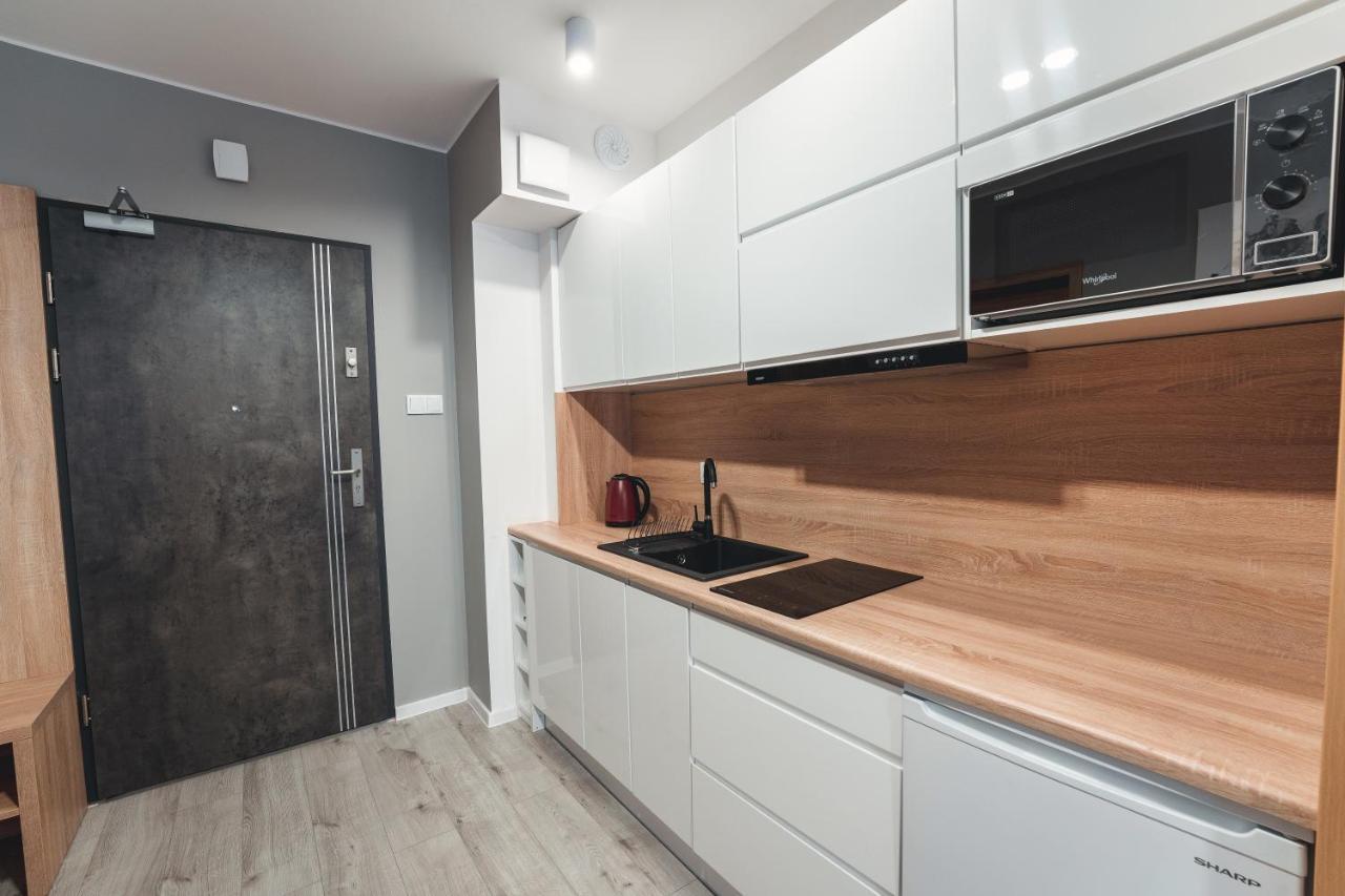 Apartament Apartament Nr 9 - Zrodlana 2 Świeradów-Zdrój Zewnętrze zdjęcie